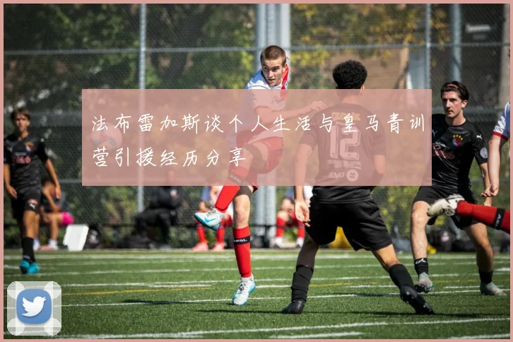法布雷加斯谈个人生活与皇马青训营引援经历分享